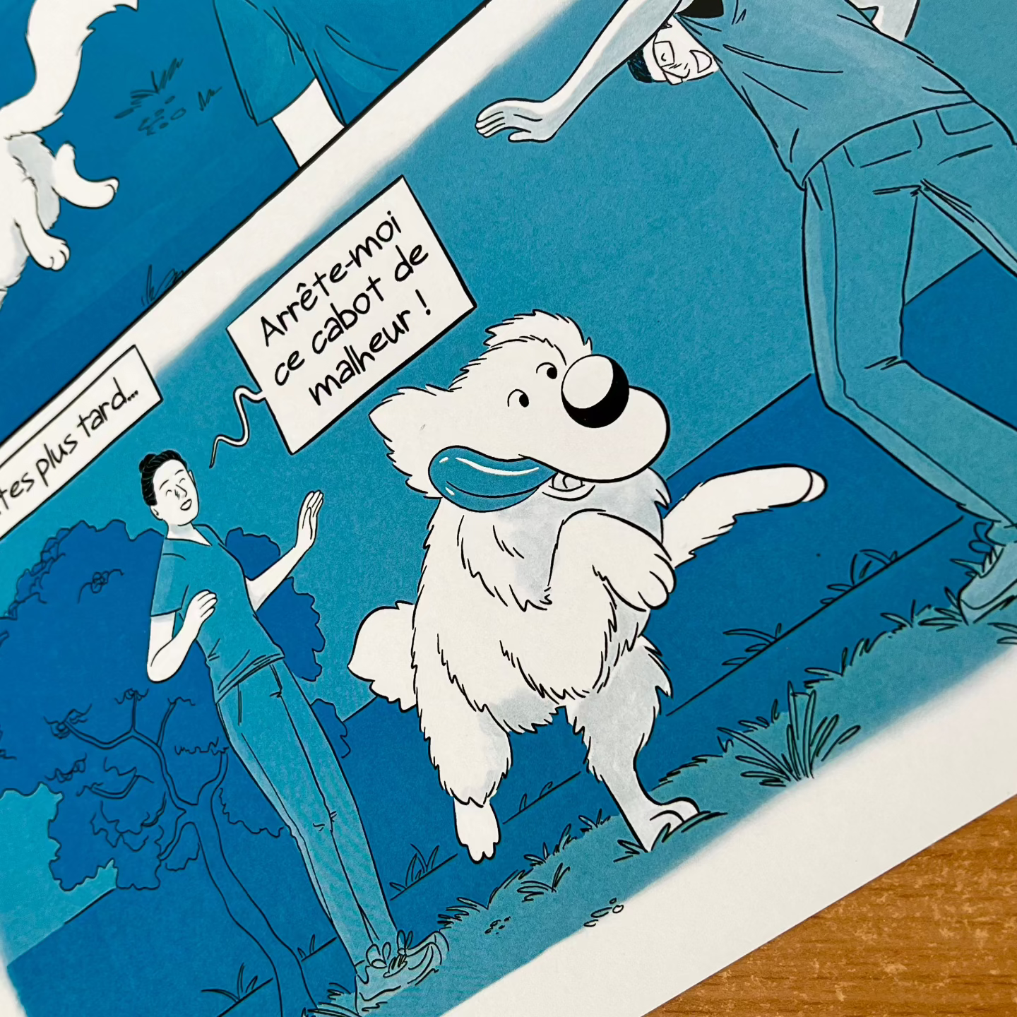 BD personnalisée