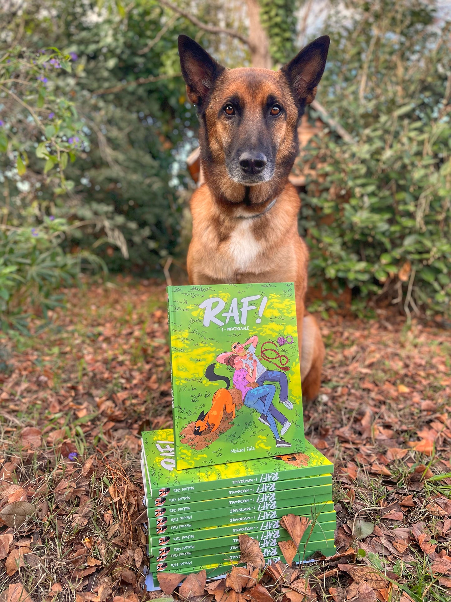 RAF ! - Infatigable